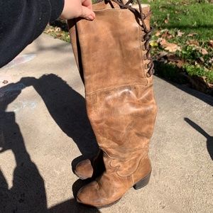 Freebird by Steven rolls